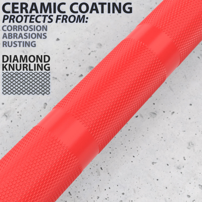 Synergee Games Barbell