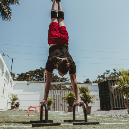 Lycan Fitness Low Parallettes