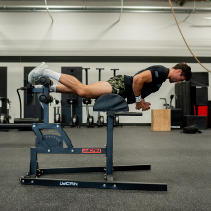 Lycan Pro Glute Ham Developer